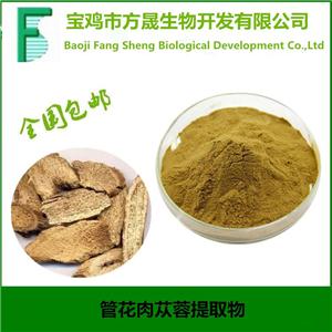 管花肉蓯蓉提取物 總苷60%UV，松果菊苷≥20% 毛蕊花糖苷≥5%現(xiàn)貨