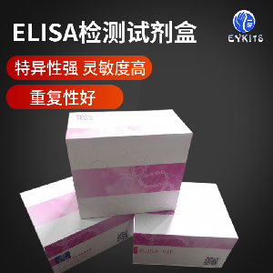 TGF-β2 Elisa Kit