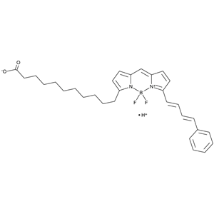 C11 BODIPC11 BODIPY 581/591Y 581/591