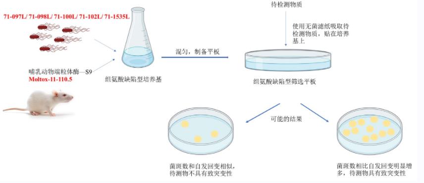 Moltox試驗(yàn)