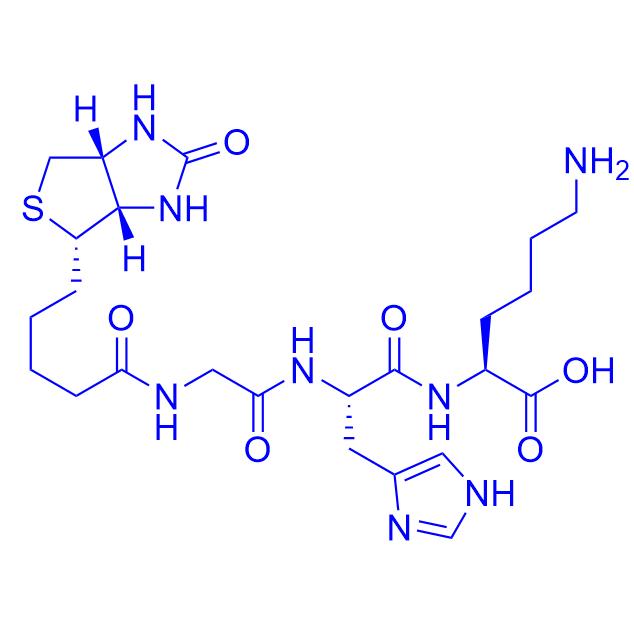 Biotinoyl Trippeptide-1 299157-54-1；299157-54-3.png