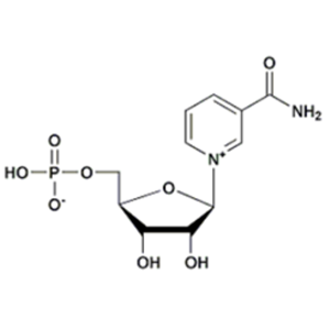 β-煙酰胺單核苷酸（NMN）