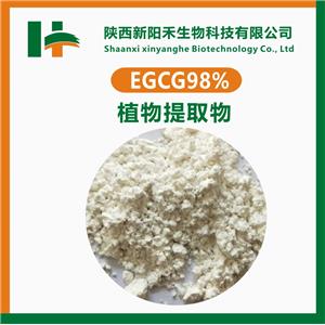 兒茶素 EGCG 98% 表沒食子 沒食子酸酯 989-51-5