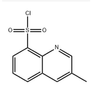 3-甲基-8-喹啉磺酰氯