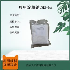 藥用級羧甲淀粉鈉 白黃顆粒狀粉末 CP20質(zhì)量標(biāo)準(zhǔn)