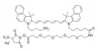 ICG-PEG4-Sulfo-Osu.jpg