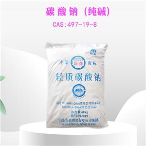 碳酸鈉 純堿 99% 工業(yè)級 食品級