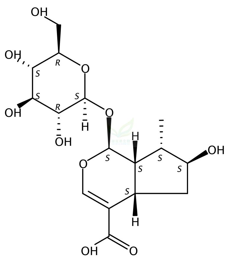 8-表馬錢子酸