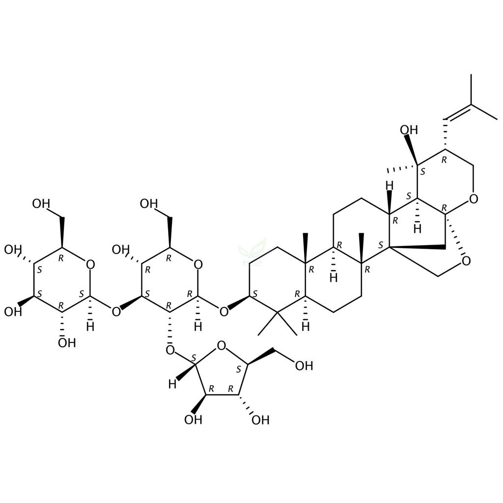 假馬齒莧皂苷II