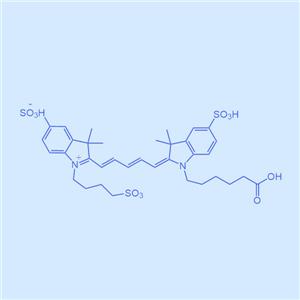 RGD-ICG,多肽修飾吲哚菁綠,RGD-Indocyanine green