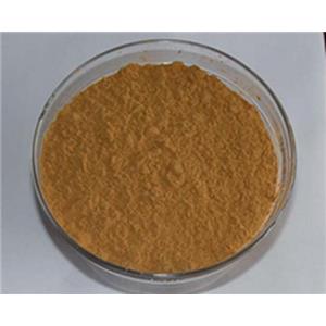 鐵皮石斛提取物10:1，多糖30%50% Dendrobium candidum extract