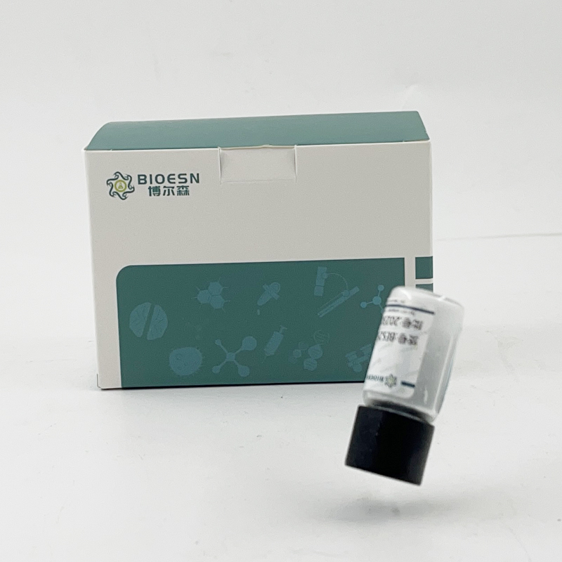 小鼠血管生成素樣蛋白3(ANGPTL3) ELISA Kit