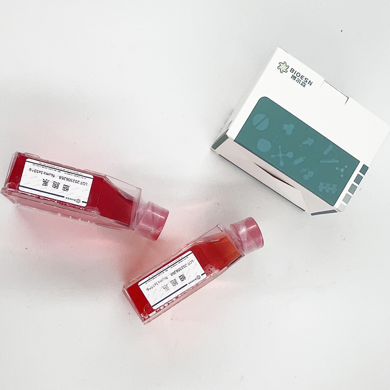 小鼠凝集素樣氧化低密度脂蛋白受體1(LOX1) ELISA Kit