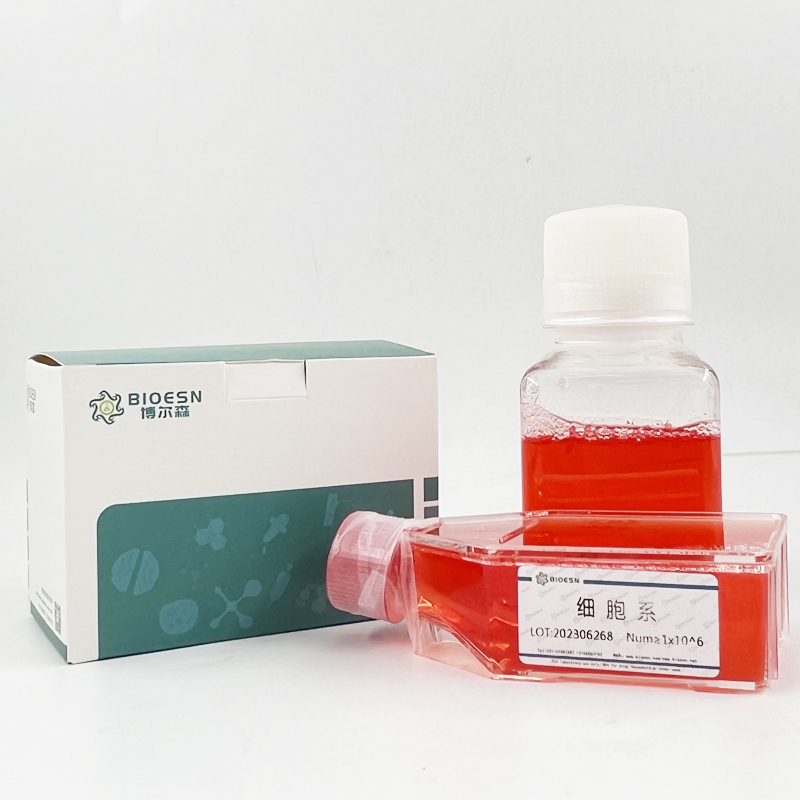 Human羰基還原酶3(CBR3) ELISA Kit