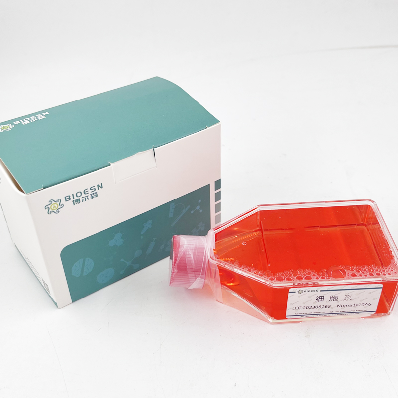 小鼠抵抗素(RETN) ELISA Kit