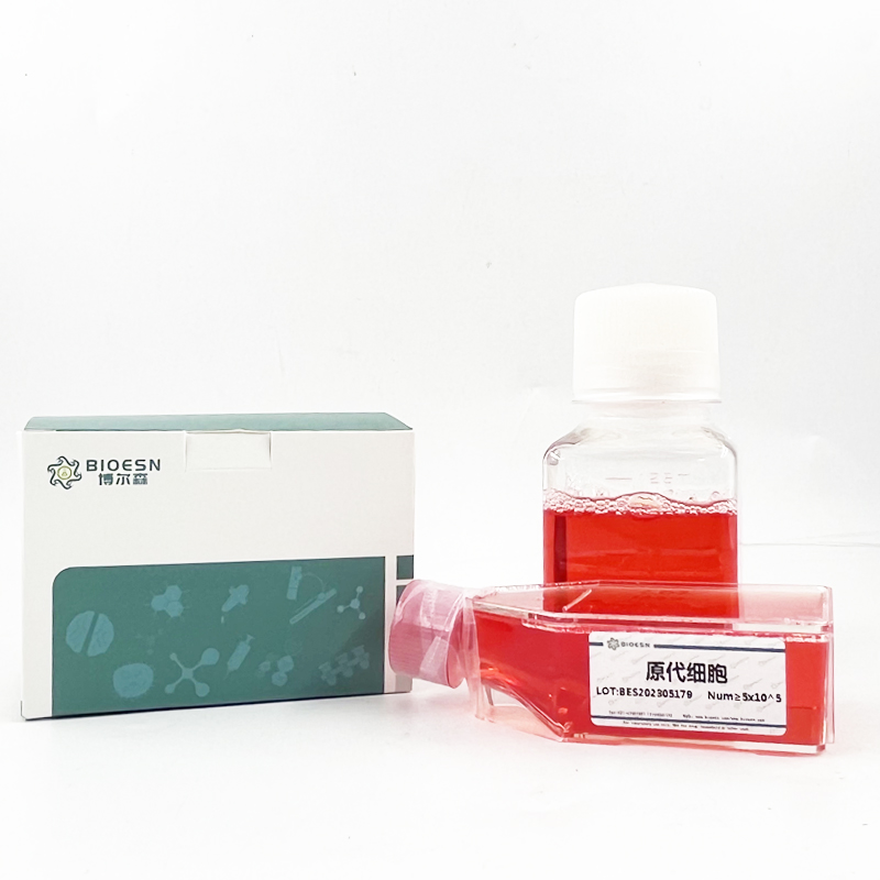 小鼠L選擇素(SELL) ELISA Kit