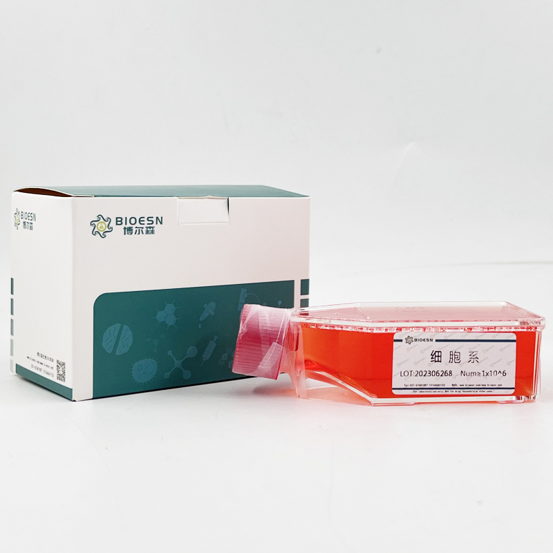 Human細胞周期素A1(CCNA1) ELISA Kit