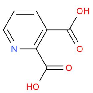 2,3-吡啶二甲酸