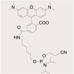 6-TAMRA-Phosphoramidite