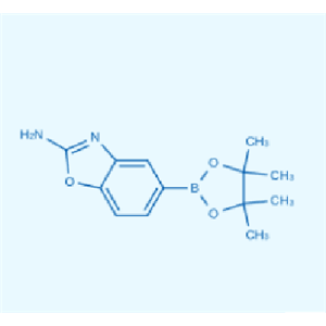 2-胺基苯并惡唑-5-硼酸酯