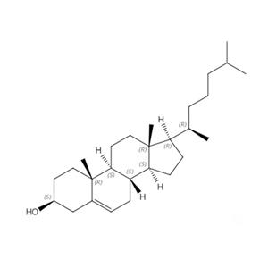 植物源膽固醇；膽甾-5-烯-3β-醇;膽脂醇;異辛甾烯醇;膽甾醇;膽甾烷醇;膽固醇;膽固醇(-20℃);膽固醇/膽甾醇