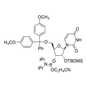 5'-O-(4,4-二甲氧基三苯甲基)-2'-O-[(叔丁基)二甲基硅基]尿苷-3'-(2-氰基乙基-N,N-二異丙基)亞磷酰胺 5級