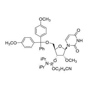5'-O-(4,4-二甲氧基三苯甲基)-2'-O-甲基尿苷-3'-(2-氰基乙基-N,N-二異丙基)亞磷酰胺 6級