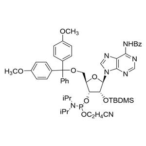 N-苯甲?；?5'-O-(4,4-二甲氧基三苯甲基)-2'-O-[(叔丁基)二甲基硅基]腺苷-3'-(2-氰基乙基-N,N-二異丙基)亞磷酰胺