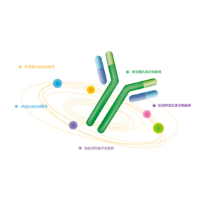 義翹神州——LucidArray?-A 抗體芯片定制服務(wù)