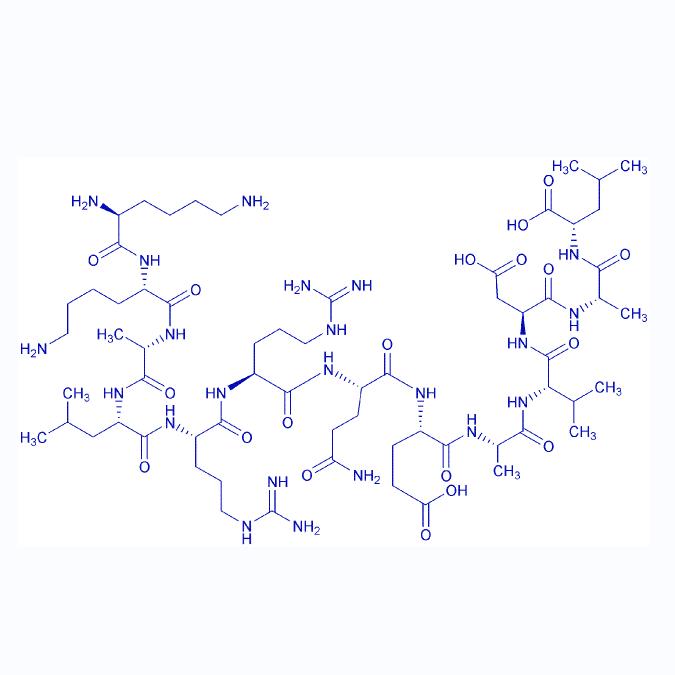 Autocamtide-2-related inhibitory peptide 167114-91-2.png