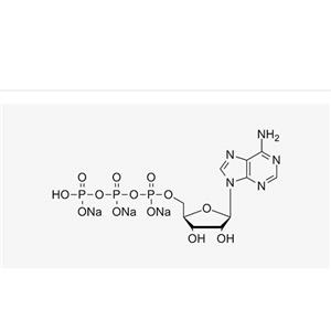 ATP sodium solution (100 mM)