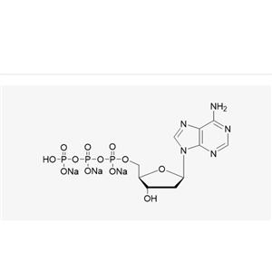 dGTP Sodium Salt Solution(100 mM)