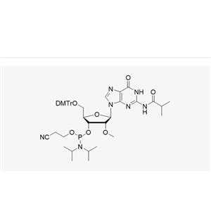 DMT-2'-OMe-G(iBu)-CE-Admite