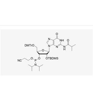 DMT-2'-O-TBDMS-G(iBu)-CE