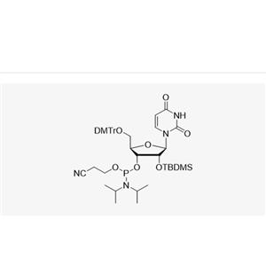 DMT-2'-O-TBDMS-U-CE