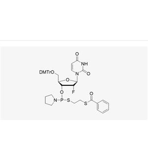 DMT-2'-F-dU-3'-PS