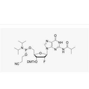 3'-DMT-2'-F-dG(iBu)-CE Reverse