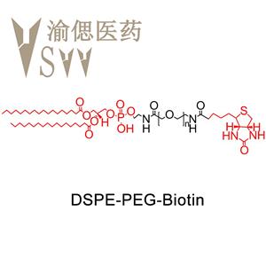 二硬脂?；字Ｒ掖及?聚乙二醇-生物素