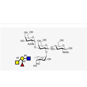 Blood type tetrasaccharide A Type II