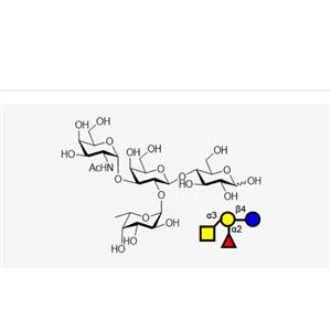 Blood type tetrasaccharide A Type VI