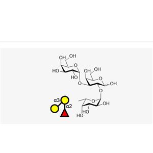 Blood type trisaccharide B