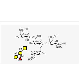 Blood type tetrasaccharide B Type III/IV