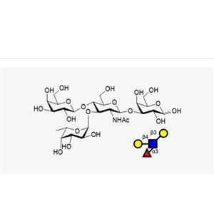 Lewis X (LeX) Tetrasaccharide