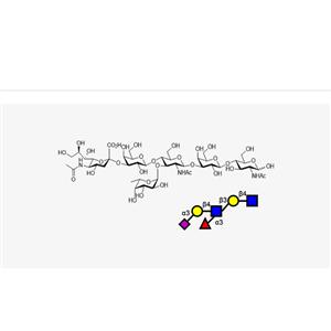 Sialyl Lewis X (sLeX)-Hexasaccharide