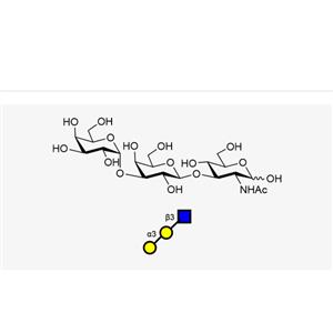 Gala1, 3Galb1, 3GlcNAc