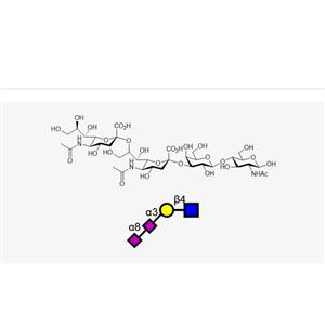 NeuAca2, 8NeuAca2, 3Galb1, 4GlcNAc