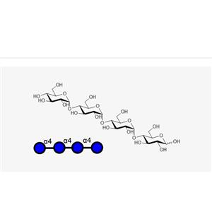 Maltotetraose （（Glca1, 4）3 Glc）