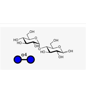 Maltose(Glca1, 4Glc)