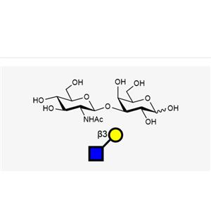 GlcNAcb1, 3Gal