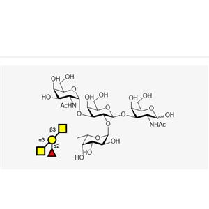 Blood type tetrasaccharide A Type III/IV